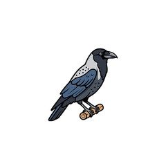 Obraz premium Hand Drawn Hooded Crow Bird Vector Illustration