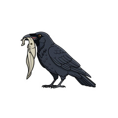 Obraz premium Black Crow Holding a Fish Illustration