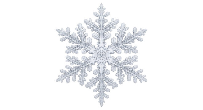 Intricate transparent ice crystal winter snowflake with symmetrical branches