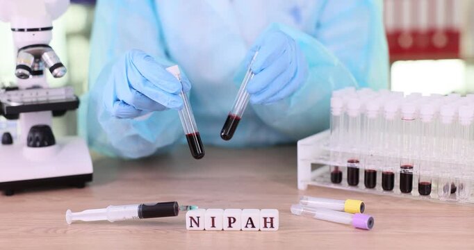 Laboratory technician studies blood samples in transparent test tubes for signs of Nipah Virus. Small white cubes on laboratory table form word Nipah