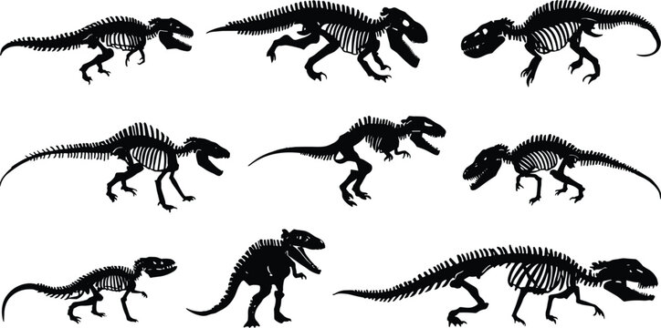 Dinosaur Skeleton Silhouette Collection Featuring Prehistoric Fossil and T Rex Poses