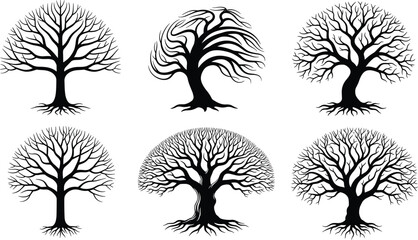 Set of six stylized black silhouette trees with unique branching patterns, trunks, and visible roots © MST RAMANA