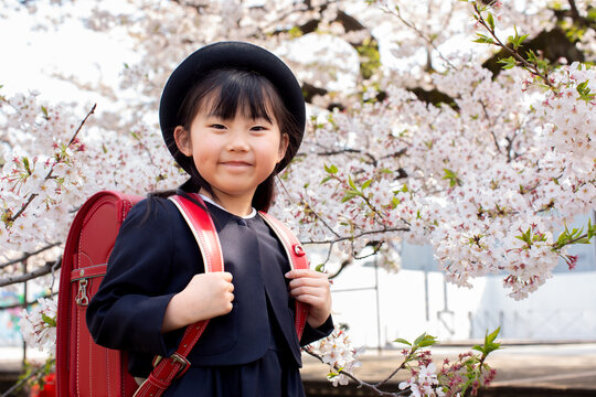 新入学の一年生