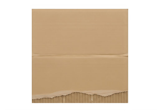 Brown cardboard package envelope with crease and torn corrugated bottom  isolated on white transparent background