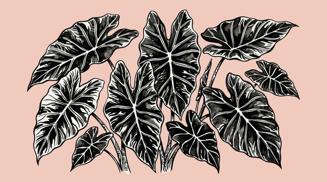 Exotic Elephant Ear Plant Leaves Illustration - Tropical Botanical Art