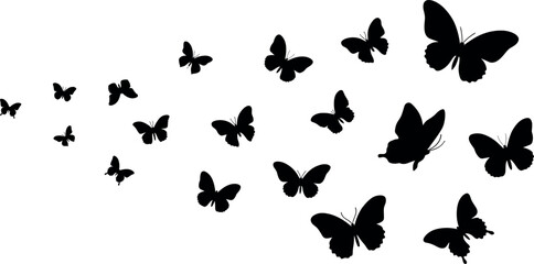 Fototapeta premium Flying butterfly silhouette collection featuring elegant insect shapes isolated nature wildlife vector illustration set