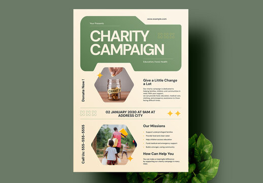 Charity Campaign Flyer Layout