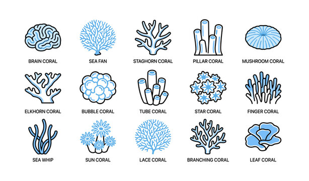 Coral species icons showing multiple coral types on white