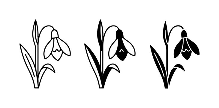 Snowdrop Flower Icons, Spring Blossom Vector Graphics, Delicate Floral Elements