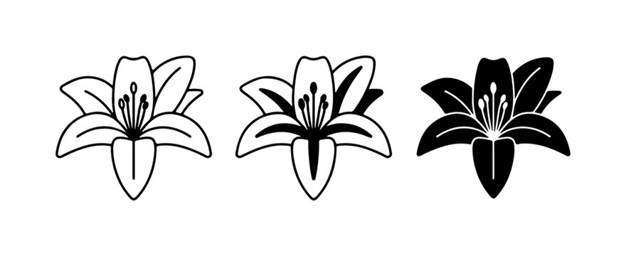 Lily Icons: Outline, Silhouette, and Filled Flower Graphics