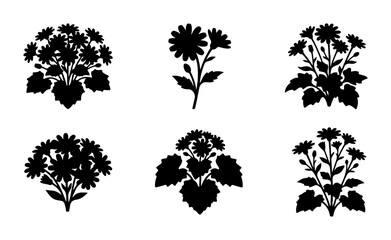 Fototapeta premium Floral Silhouettes Vector Set, Botanical Flower Icons, Decorative Plant Graphics