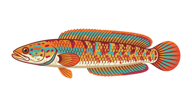 Vibrant Channa Argus Fish Illustration, Colorful Snakehead Aquatic Animal
