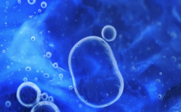 Mutant viruses are known as variants. When the new virus is different enough it becomes a new strain. Animation of mutating viruses.