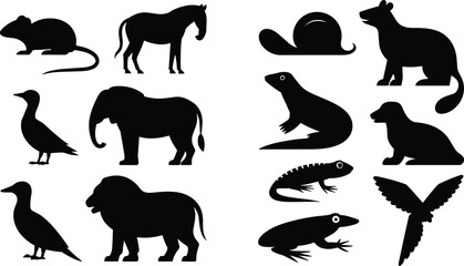 Collection of Black Animal Silhouettes Including Elephant Lion Zebra Bird Frog Lizard and Snail Isolated on White Background © SreeRupali