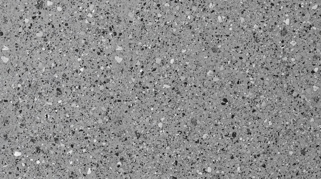 Grey Terrazzo Texture Background - Monochrome Polished Concrete Surface with Natural Stone Fragments