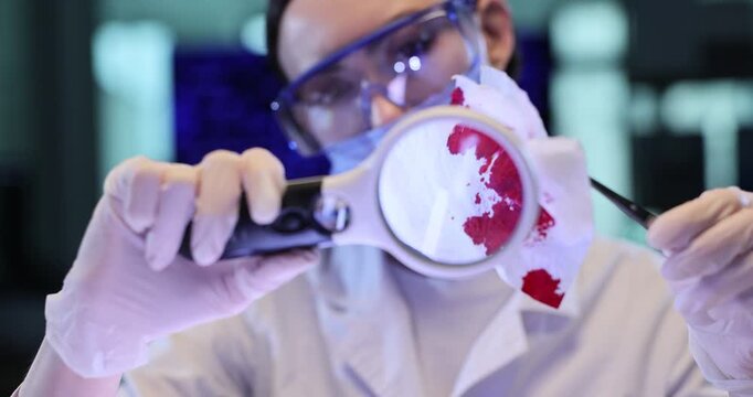 Forensic expert examines red stains on tissues with magnifying glass in lab. Woman technician analyzes evidence from murder case crime scene