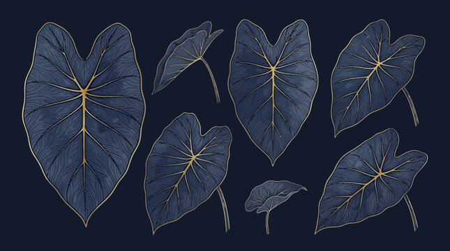 Elegant Dark Blue Elephant Ear Leaves with Gold Veins on Navy Background