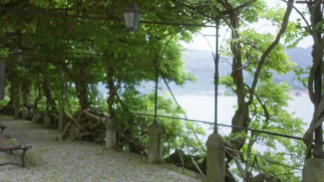 Lakeside pergola and wisteria in soft bokeh, defocused railing and gravel walkway framing a garden; background backplate copyspace calm.
