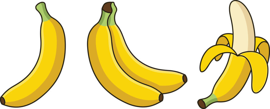 Banana fruit vector illustration set yellow bunch single peeled ripe organic tropical sweet food healthy grocery snack isolated element