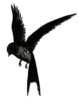 flying swallow silhouette ink wash style illustration