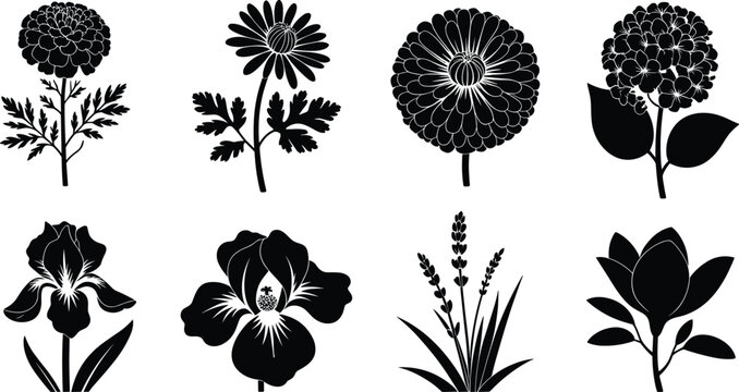 Flower silhouette illustrations with marigold daisy zinnia hydrangea iris hibiscus lavender magnolia