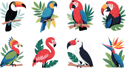 Tropical bird illustrations with toucan parrots macaws flamingo hornbill and exotic leaves © Miss