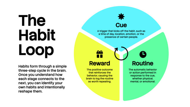 The Habit Loop circular cycle infographic vector. Psychology diagram explaining the three-step behavioral framework of cue, routine, and reward.