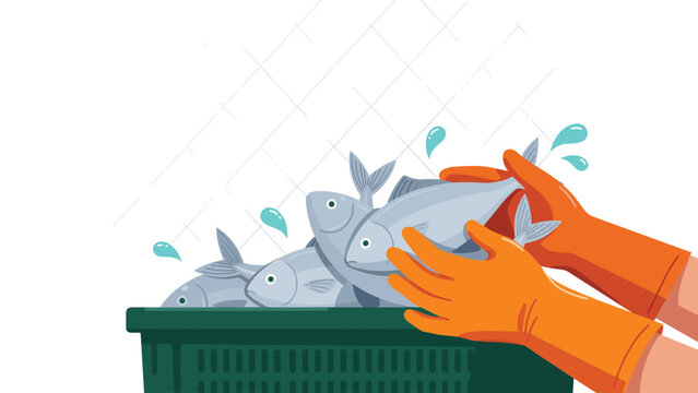Hands wearing orange rubber gloves sorting fresh fish into green plastic crate with water splashes indicating commercial fishing and seafood processing.