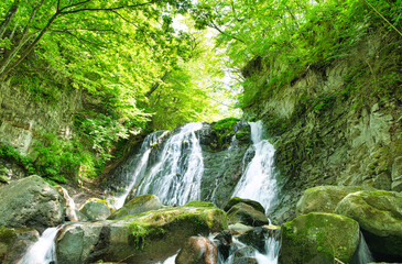 栃木県那須塩原市 咆哮霹靂の滝
