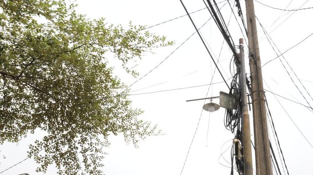Utility Pole with Telecommunications Cables and Street Light