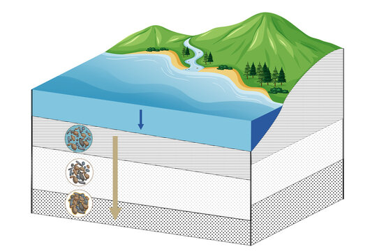Process of Diagenesis: Transformation of Sediments into Sedimentary Rocks.