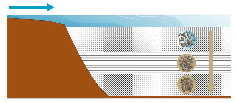 Process of Diagenesis: Transformation of Sediments into Sedimentary Rocks.