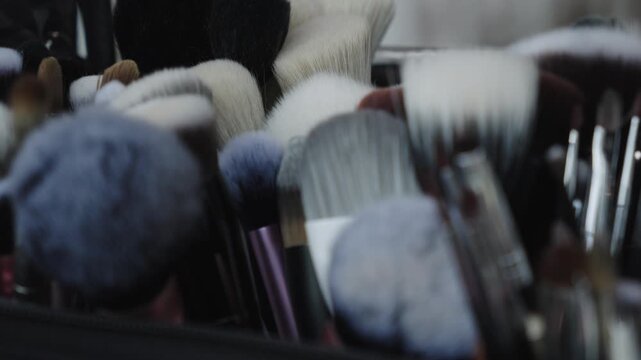 A variety of makeup brushes are neatly arranged in a professional kit. Ideal for beauty tutorials or product reviews.
