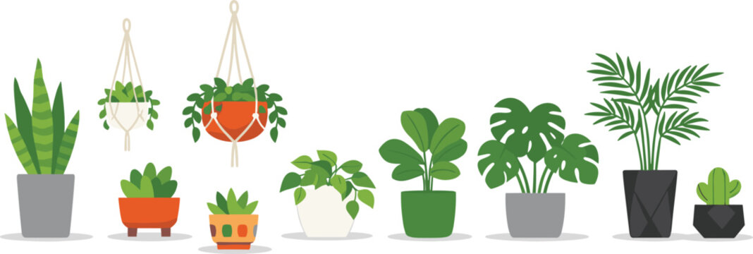 Indoor Houseplant Row Collection with Snake Plant Monstera Palm Macrame Hanging Pot Cactus and Ficus Vector Set