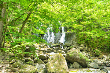 栃木県那須塩原市 咆哮霹靂の滝