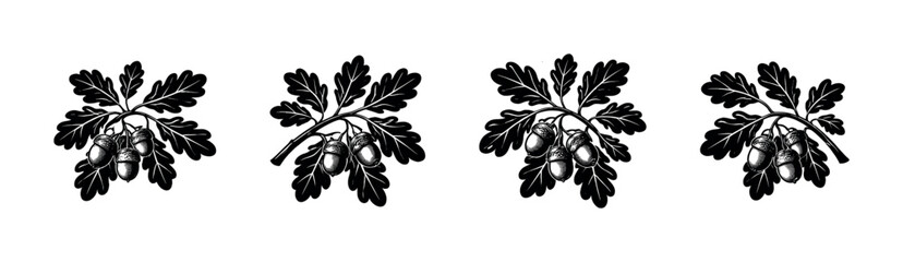 Oak branch with acorns and leaves, a classic symbol of nature and growth © Compositor 