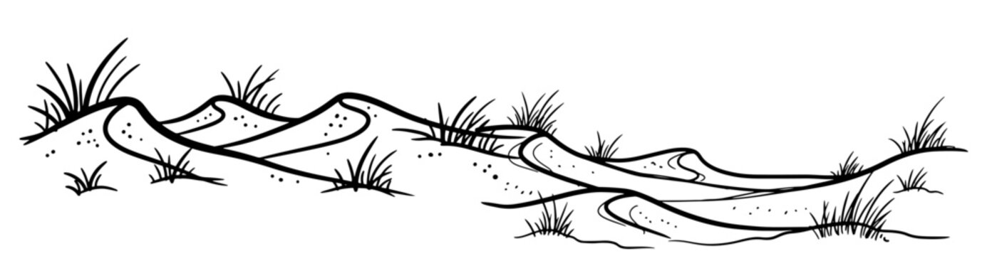 Sand dunes with beach grass on coast in hand drawn sketch style