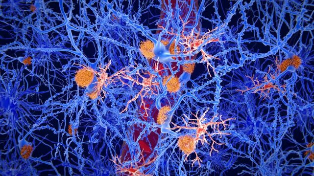 Microscopic view of neurons and dendrites in the human brain  neuroscience concept