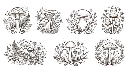 Forest mushrooms and botanical elements in hand drawn line art © Wijil