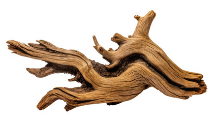 Fototapeta premium Isolated artistic natural weathered driftwood piece with beautiful organic patterns and texture