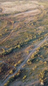 Wide aerial view of vast steppe landscape with winding dirt roads and dry vegetation at sunset, Syr Darya region, Kazakhstan. High quality 4k footage