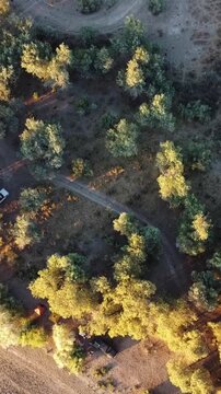 Top down aerial view of campsite with tents and 4x4 car in riverside forest, adventure travel, Syr Darya, Kazakhstan. High quality 4k footage