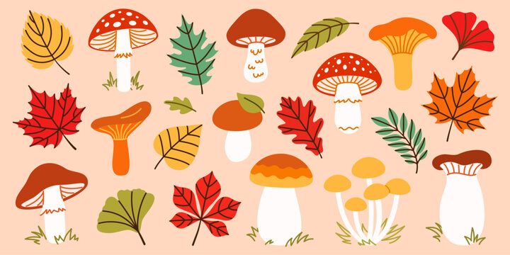 Whimsical autumn forest set with wild mushrooms and colorful foliage. Hand drawn woodland clipart featuring amanita, chanterelle and fall leaves in playful flat style for seasonal patterns, textile.
