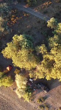 Top down view of camping tents and 4x4 car under trees in riverside forest, golden hour adventure, Kazakhstan, Syr Darya. High quality 4k footage