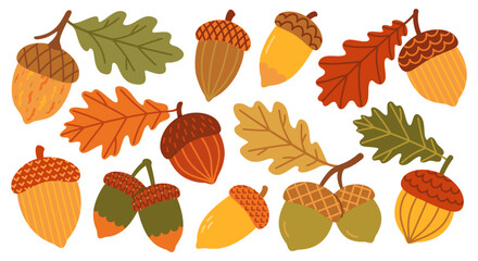 Whimsical autumn acorn collection vector illustration with oak leaves and forest foliage. Hand drawn woodland elements in playful flat style for seasonal designs, wallpaper, textile and fall decor. © IRYNA