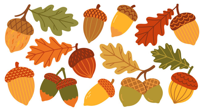 Whimsical autumn acorn collection vector illustration with oak leaves and forest foliage. Hand drawn woodland elements in playful flat style for seasonal designs, wallpaper, textile and fall decor.