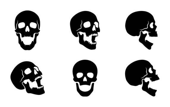 Six Black Skull Icons, Vector Set, Human Head Anatomy, Graphic Elements, Halloween Theme
