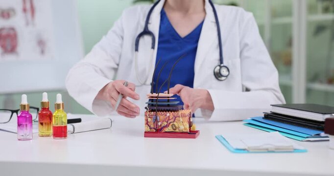 Doctor hand with pen points at human skin layer model in dermatology clinic. Lady medic explains causes of diseases in cosmetology center slow motion