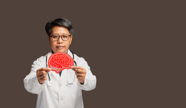 Female doctor holding anatomical brain model in studio
