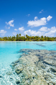 Turquoise water at the Blue Lagoon, Fakarava, French Polynesia